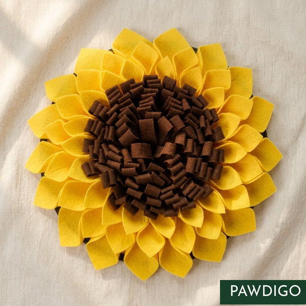 Dog using Pawdigo sunflower snuffle mat for mental enrichment